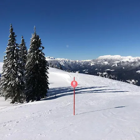 Planinka Golte Lägenhet *