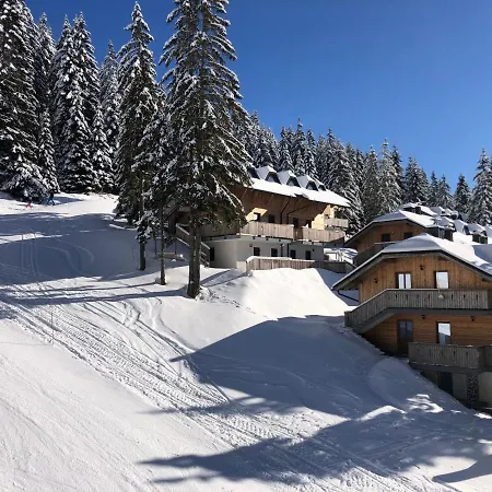Planinka Golte Appartement