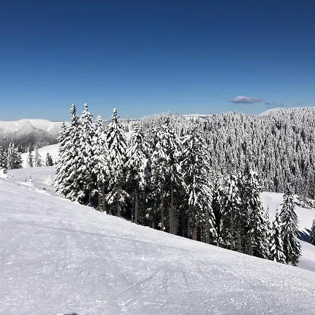 Lägenhet Planinka Golte