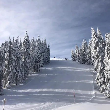 Planinka Golte