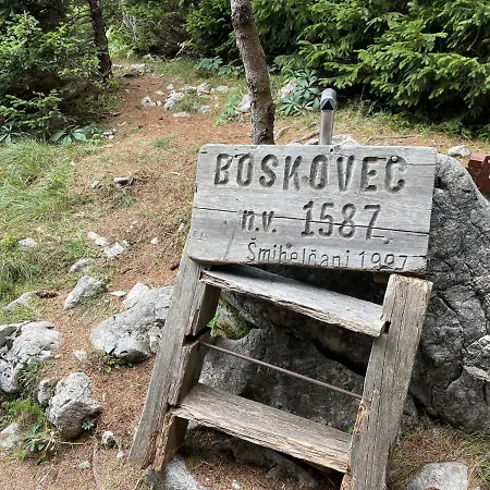 Planinka Golte Mozirje