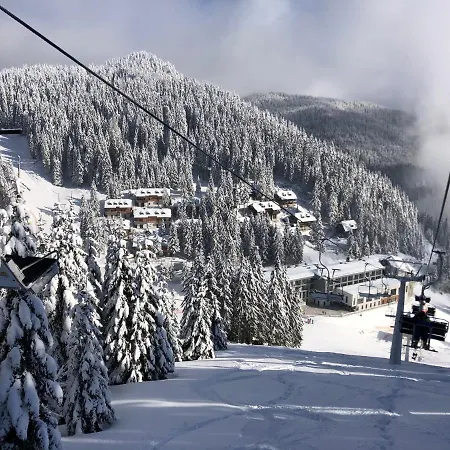 Planinka Golte *