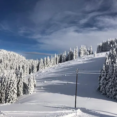 Planinka Golte * Mozirje