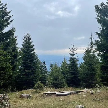 Planinka Golte